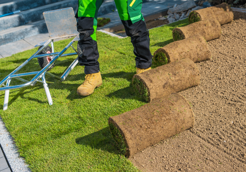 Ground Work